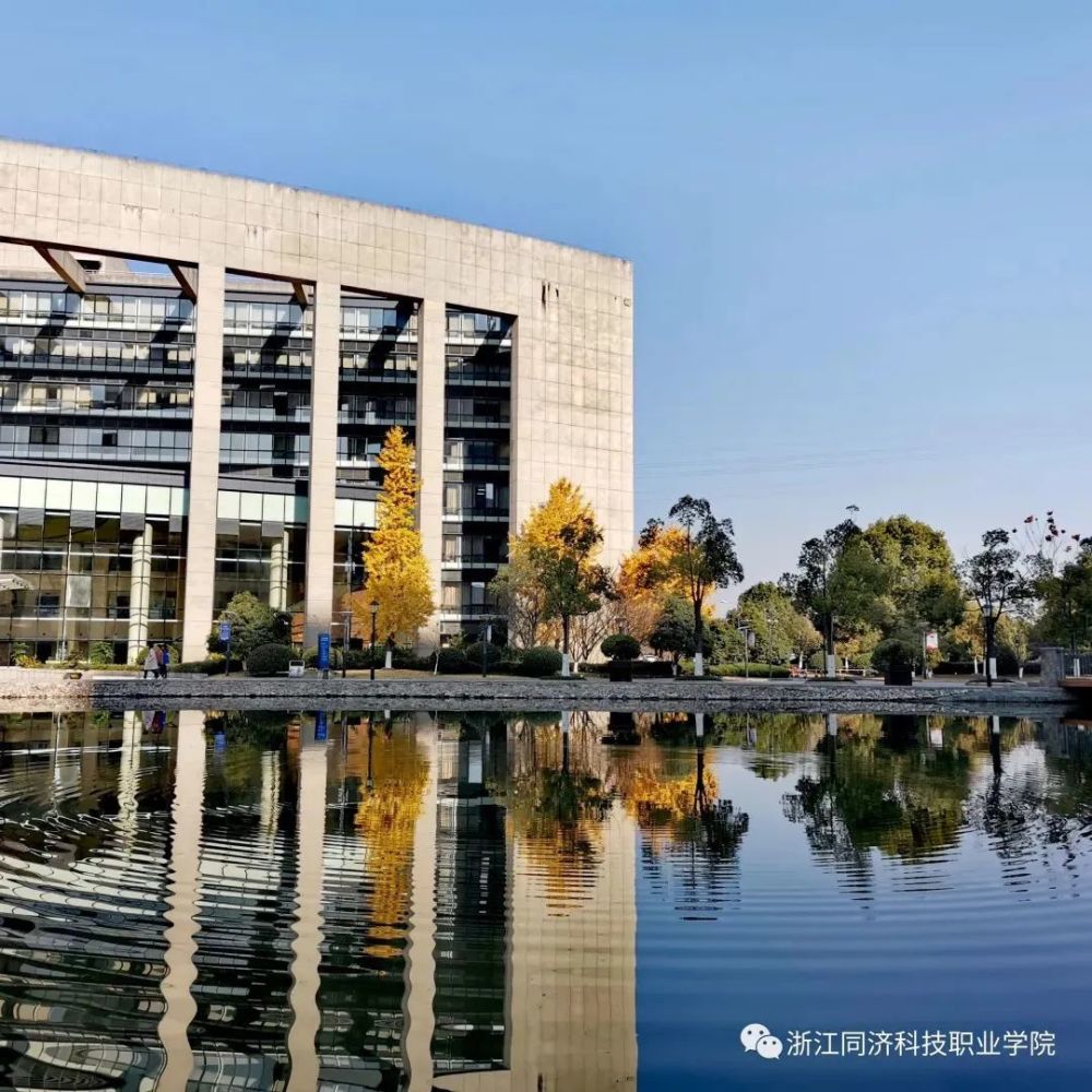 权威发布|浙江同济科技职业学院2022年招生章程_腾讯新闻