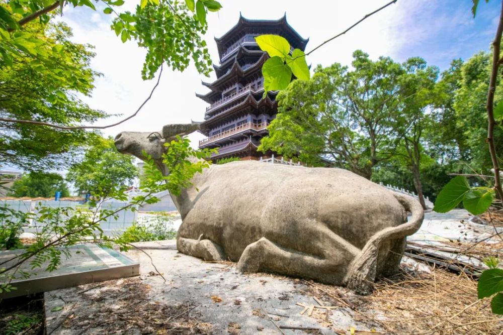 终于又见到卧牛山老石牛和熊猫啦……_腾讯新闻