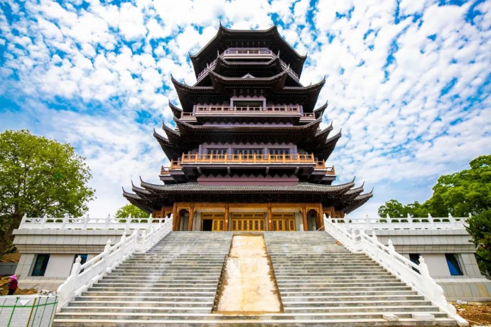 终于又见到卧牛山老石牛和熊猫啦……_腾讯新闻