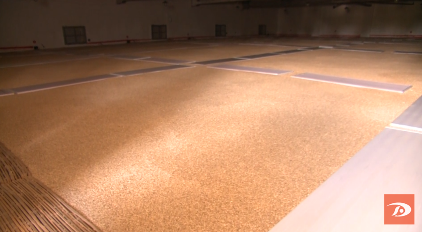 学习贯彻省第十四次党代会精神敦煌维护粮食安全确保颗粒归仓