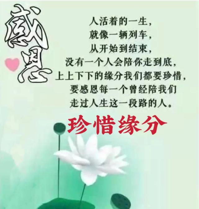 早上好祝福,相遇是緣,隨緣自在!