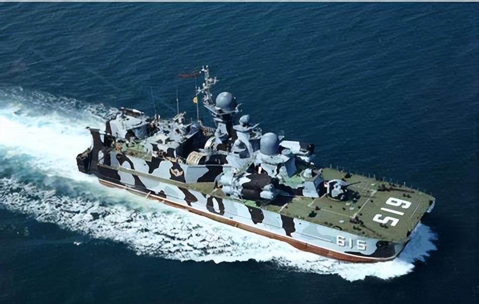 6r型導彈護衛艦,2艘1135型反潛艦,4艘22160型巡邏艦,4艘21631型導彈艦