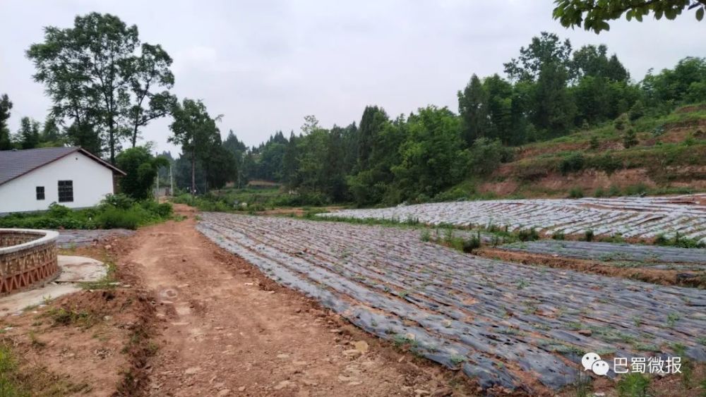 随拍蓬安县罗家镇罗家沟村风景