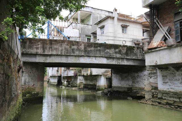 榕树头下讲古仔|乐从水藤片区"龙,凤,龟,麟"四灵桥