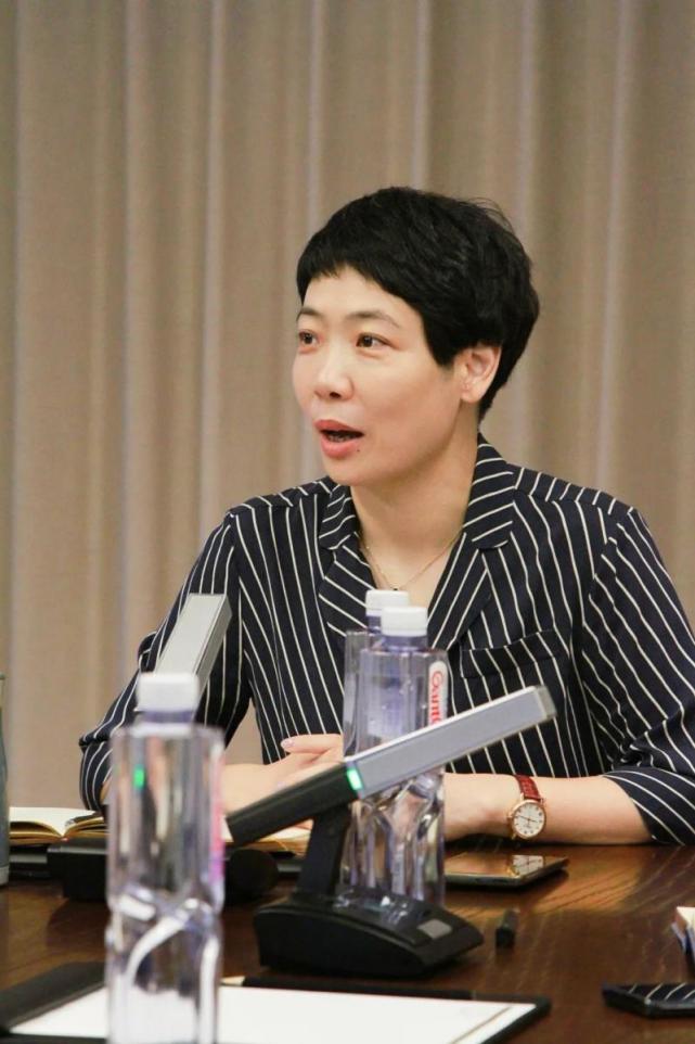 主动投案的女原副县长胡燕子四年前下海当高管被批搞一家两制