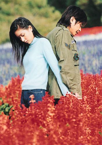 杨恭如为何突然不"红"了?