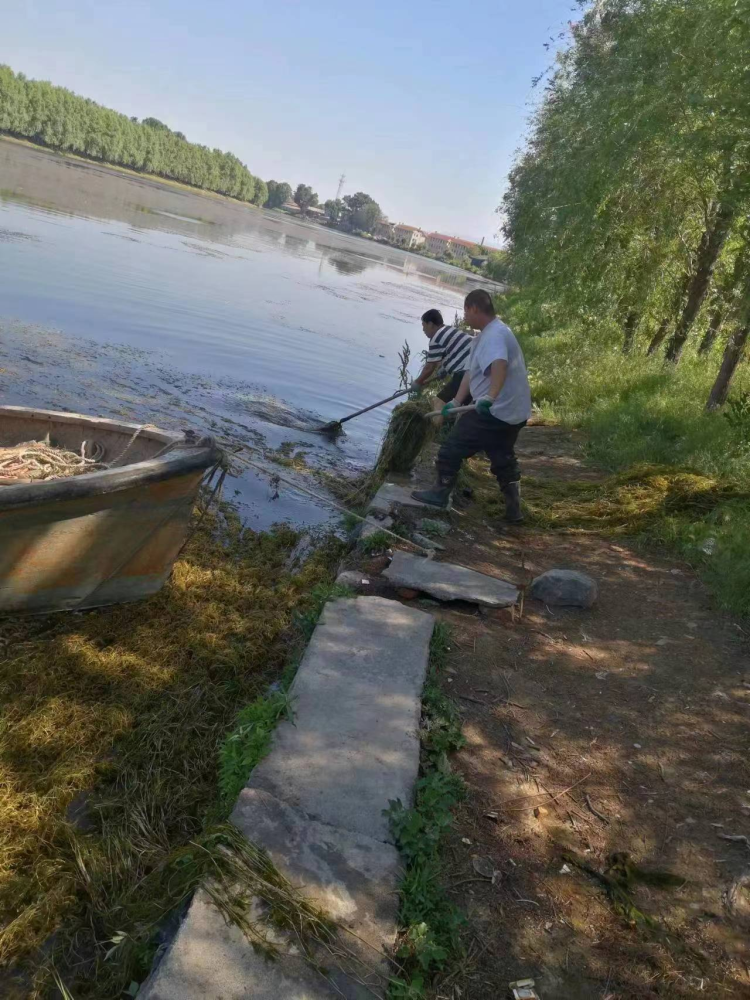 在河流环境治理中,旅顺口生态环境分局组织环境执法人员,对辖区龙河