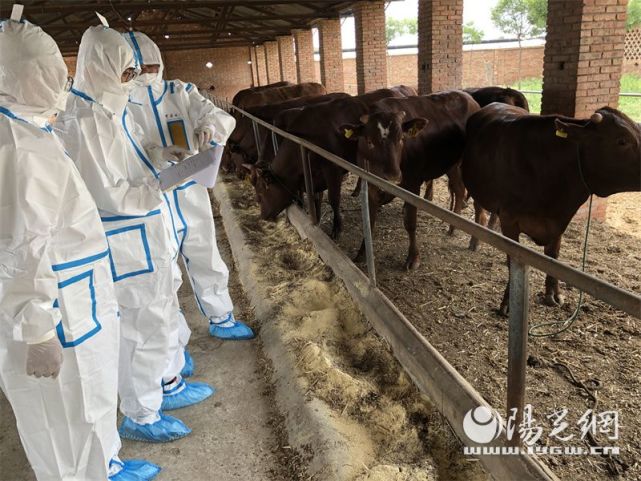 關于北京市海淀婦幼保健院黃牛掛號綠色通道掛號黃牛的信息