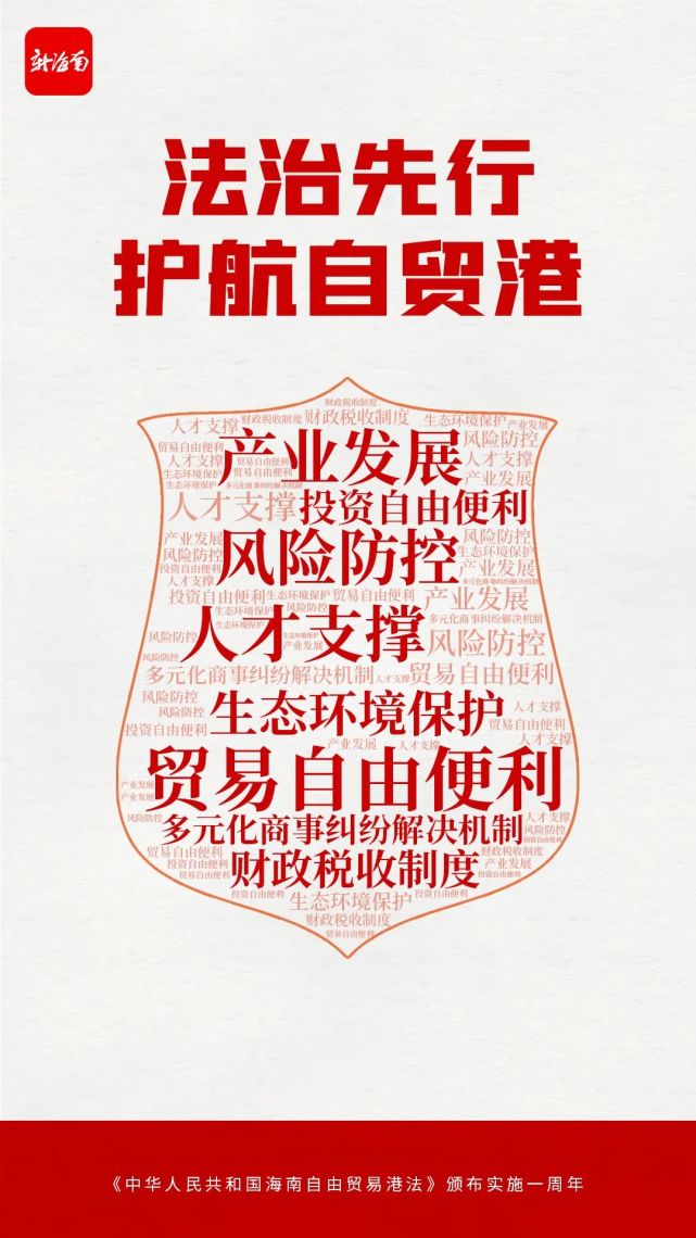 9图词云海报带你速览海南自贸港法一周年成效