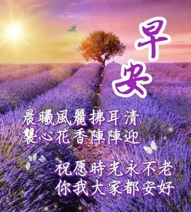 今日最新版早上好帶字圖片早安的帶字精美圖片問候語