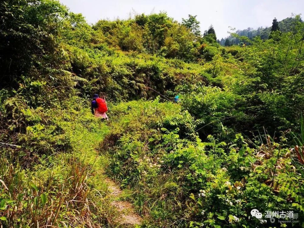 超详细攻略永嘉九龙山乐清朱苔岭坭山黄坦硐绍山三天环线穿越