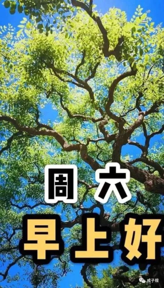 2022年6月11日週六唯美早安帶字圖微信朋友圈早上好勵志正能量心語