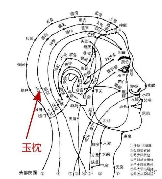 曲鬢出,頭維寸下頷厭主上下兩穴三分數,頭竅陰上浮白處斜下三分天衝入