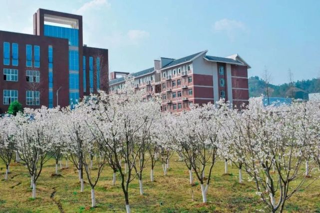 办好旅发会|首届"武陵山居图"大学生写生活动永定区精品线路c