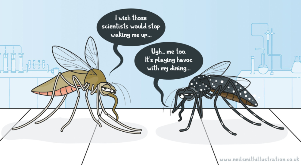 如何让蚊子不再咬人？这是我见过最损的一招！｜一周科技