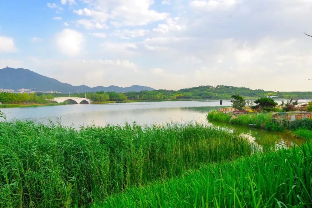 龙泉湖湿地公园周末好去处今天就来为大家推荐一个也是一个绝佳选择哦