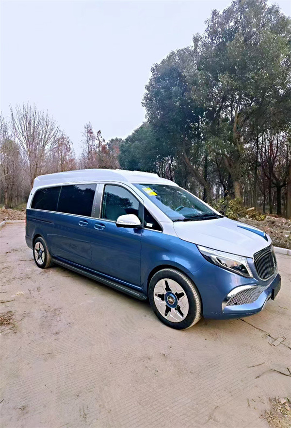 外观颜值特别高,颜色很美丽的奔驰商务车!