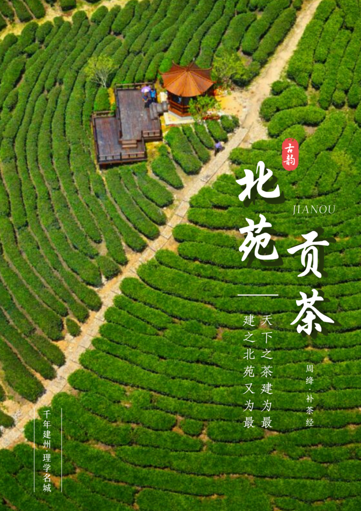 藏在梦华录中的建瓯北苑贡茶