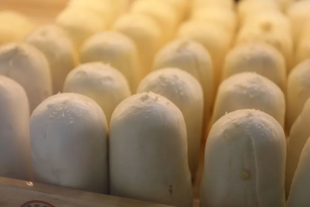 体验152年的传承——杠子馒头_腾讯新闻