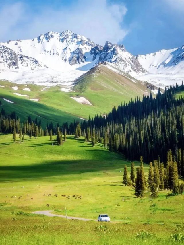 夏天的伊犁河谷究竟有多美?没去过的人根本就想不到!