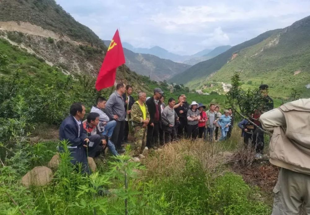 禄劝县乌东德镇田间地头搞培训争当产业发展排头兵