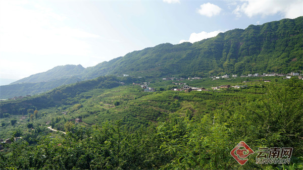 云南彝良接续绘就乡村振兴新画卷