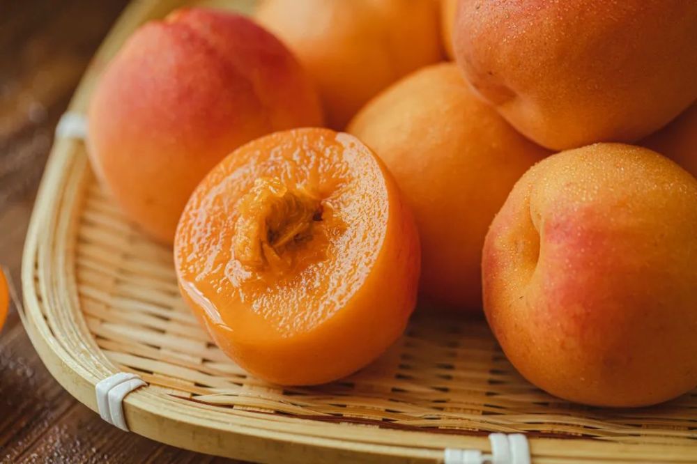 爱吃杏的人都在等赏味期仅20天的崂山蜜杏鲜甜如蜜