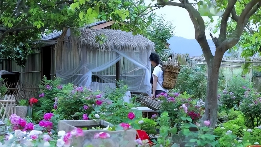 关掉美颜滤镜,李子柒的庭院一秒回到现实,但依旧是"人间仙境"_腾讯