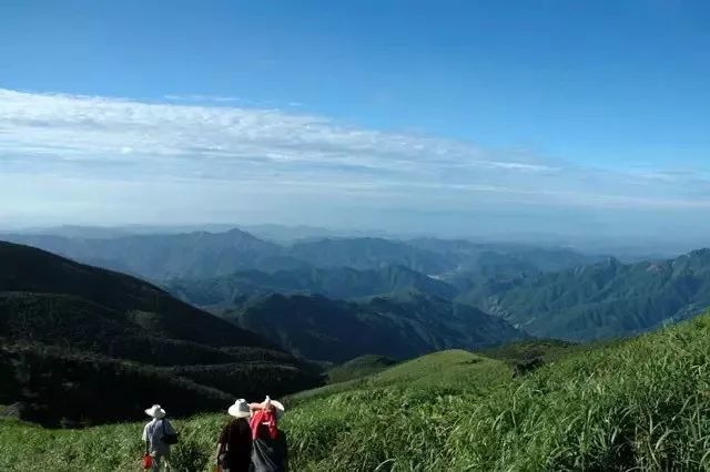 登龍山散記(下)|譚學亮