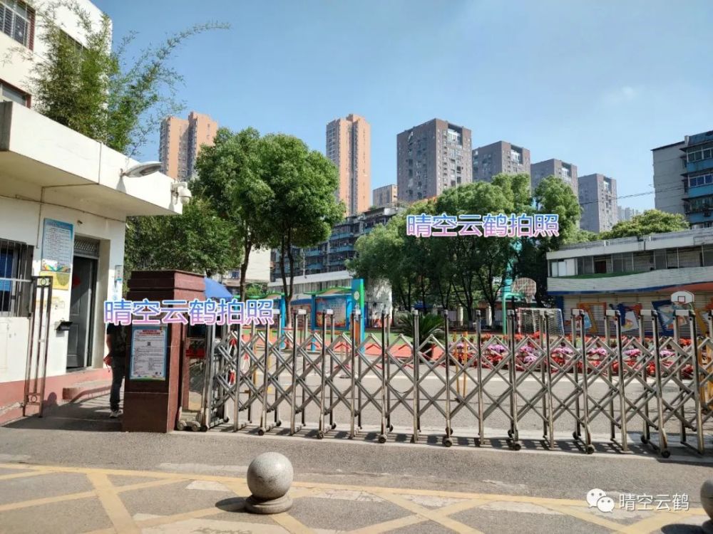 關於武漢徐東大街加州幼兒園圖片的信息