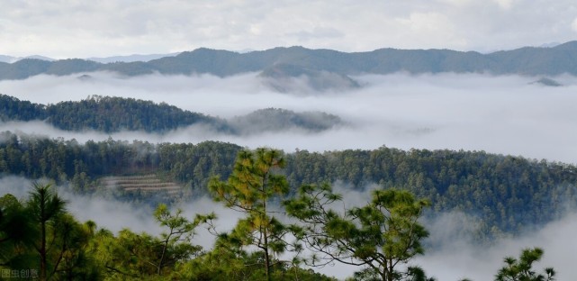 紫溪山,位於紫溪鎮,為雲南省最大的天然公園,這裡鬱鬱蔥蔥,森林密茂