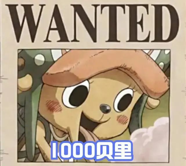 草帽团新赏金预测!路飞40亿,索隆14亿,乔巴1000元