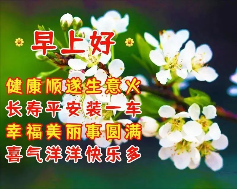 8张创意唯美亲人朋友早上好祝福语图片大全免打字夏日清晨友谊早安