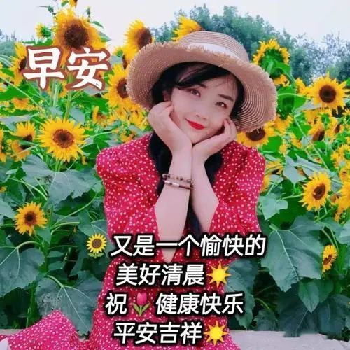 7张最新最美夏天美女早上好问候祝福图片表情包2022超好看的夏日早安