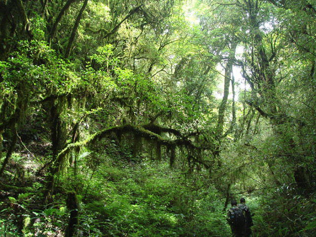 哀牢山三夜:一篇篇幅是见报稿两倍的采访手记