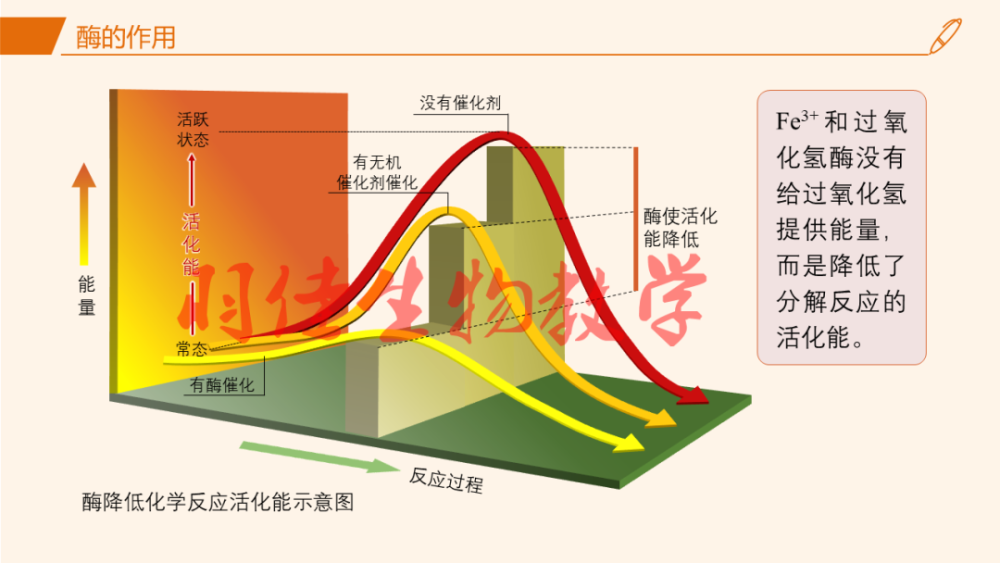 课件分享2019人教版高中生物必修1第5章第1节降低化学反应活化能的酶