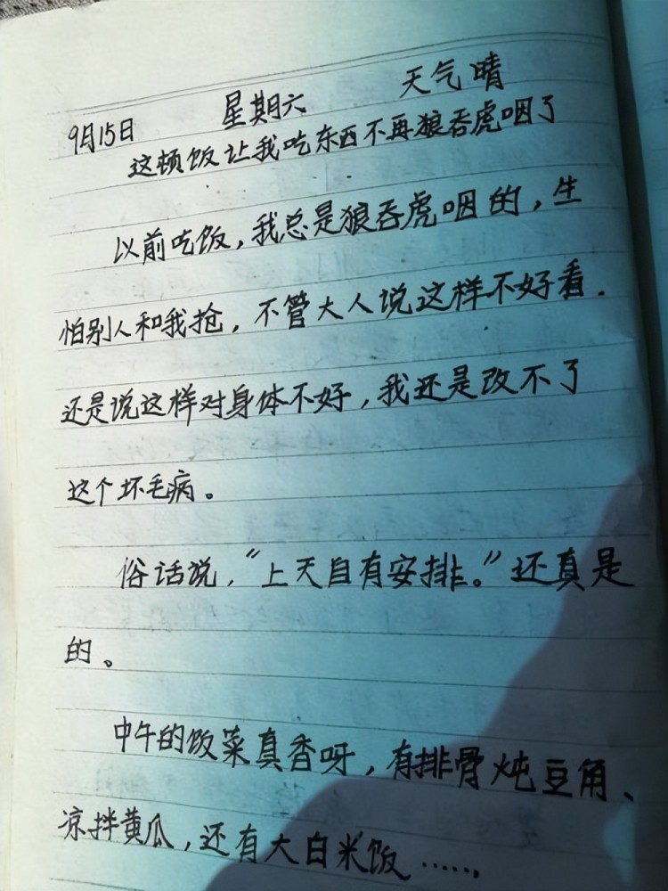 小学生花式记仇连爸妈也受牵连每页结尾都写着我忍了