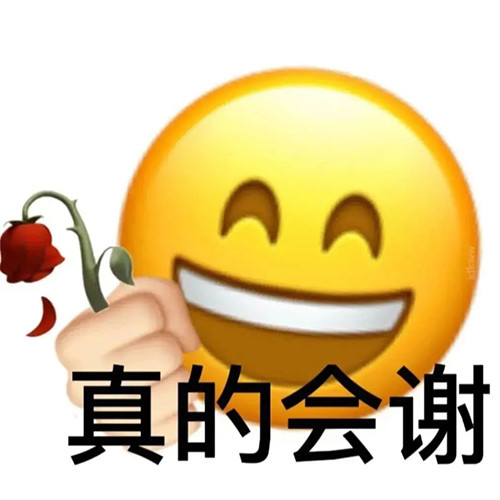 表情包我真的会谢栓q