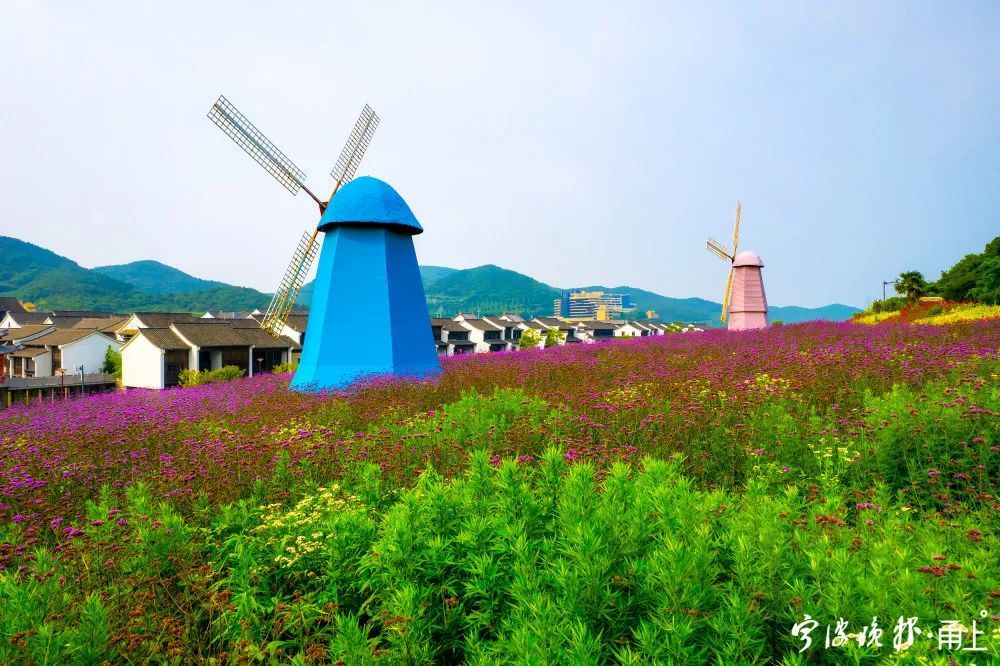 《五彩渔镇》郑曙耀 摄东海半边山风景区位于象山县东海之滨,它孺面
