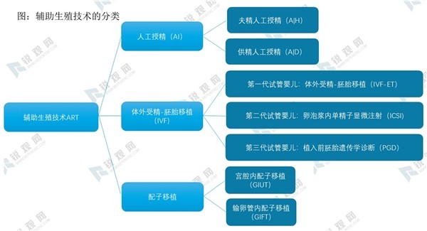 2020年什么是试管婴儿(2020年什么是试管婴儿呢)-第2张图片-鲸幼网