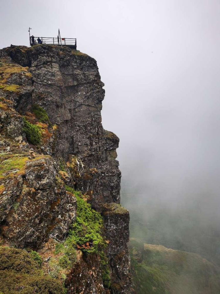 【旅游推荐】高海拔生态游|一山有四季十里不同天 说的就是轿子山!