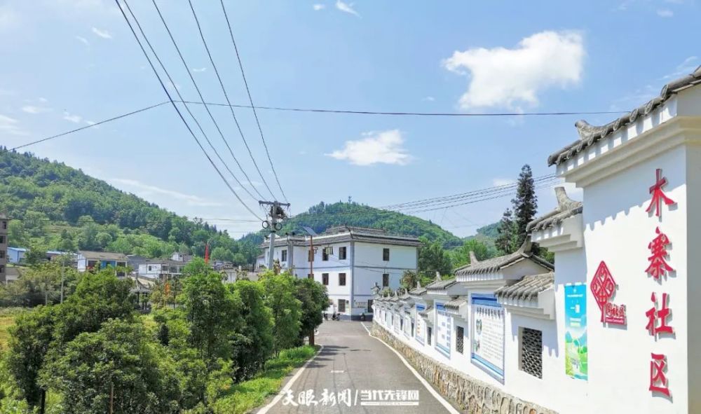 奢香故里党旗红支部强产业兴群众富大方县核桃乡打造双好双强基层党