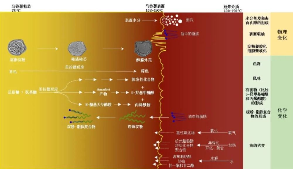 夏日夜宵的美味秘籍竟然是……