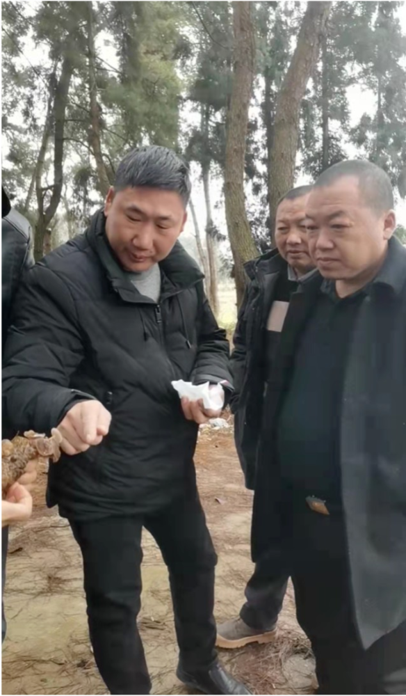 仙草资讯:天然贵州进入康养时代食药用菌产业新赛道