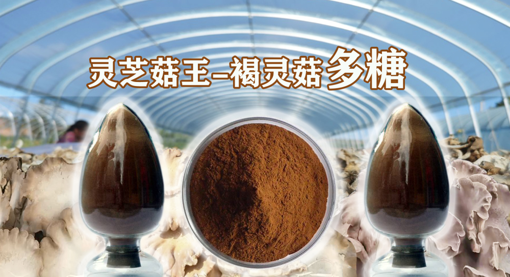 仙草资讯:天然贵州进入康养时代食药用菌产业新赛道