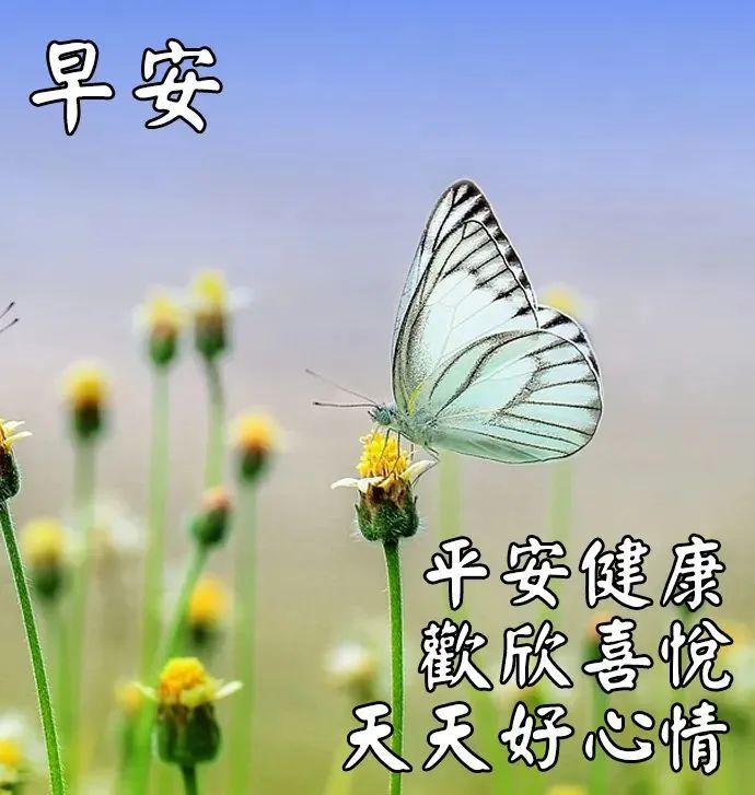 6月17日星期五漂亮早上好問候動態表情圖片大全週四最美早安問候祝福