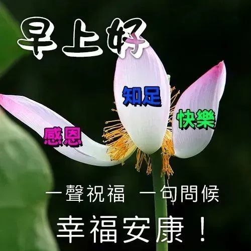 超級溫馨的早安祝福語表情動圖漂亮早上好問候表情動畫圖片