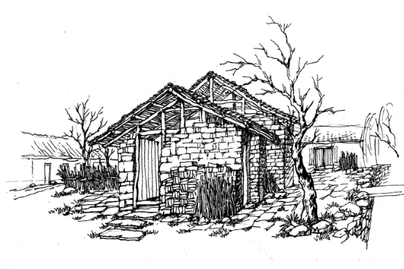 杏坛杯|老屋(中学)