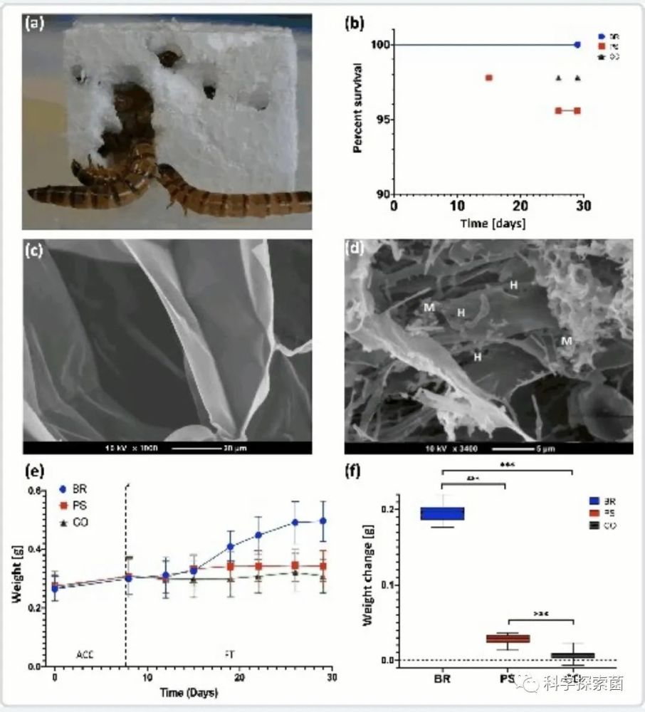 星辉娱乐注册_星辉app下载_时尚百搭_经典潮流_时尚穿搭生活-淘奢吧