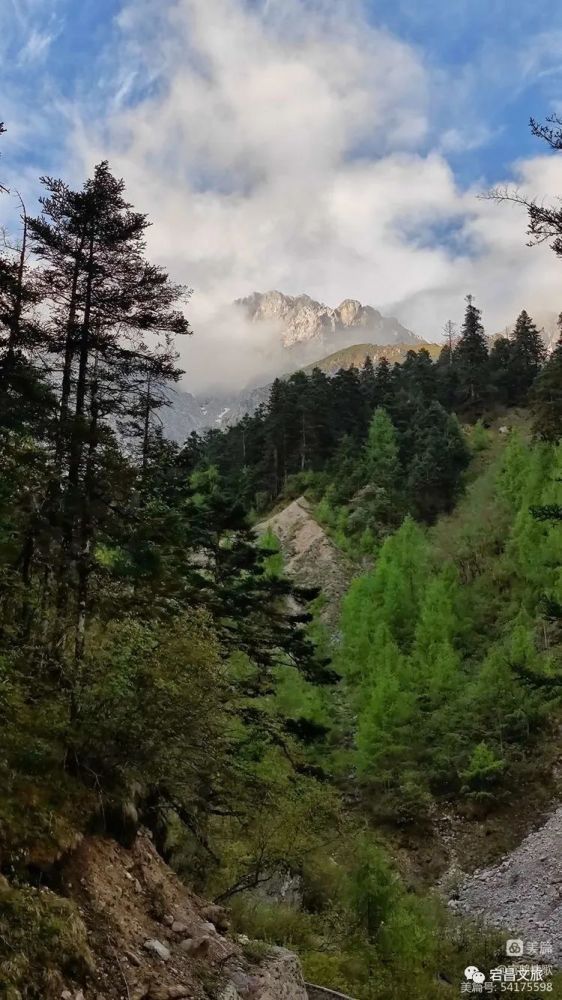 雷古山屹立于陇南市宕昌县南部,是宕昌与甘南州舟曲县的分界山,这里